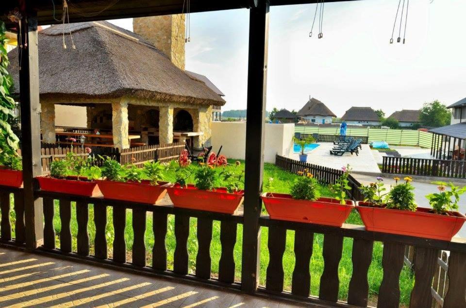 Hotel Pensiunea Miasor Murighiol Exteriér fotografie